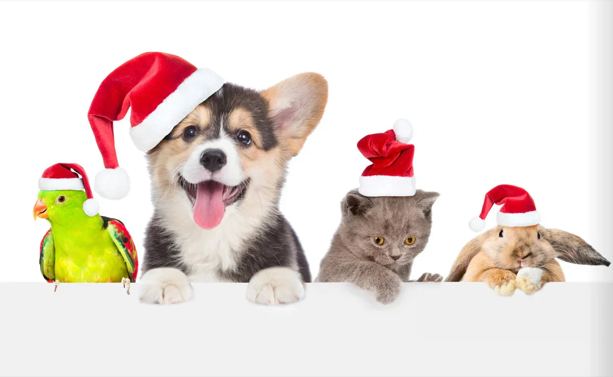 Making the Holidays Magical for Your Pets