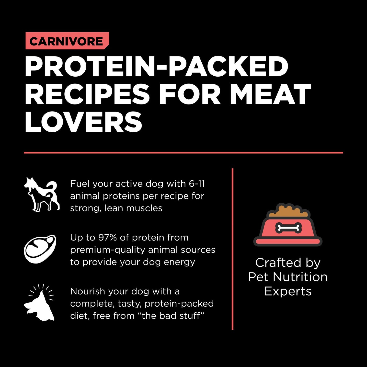 Go! Solutions Carnivore Salmon + Cod Grain-Free Dry Dog Food – Dual Wild Fish, Omega-Rich | Made in Ontario