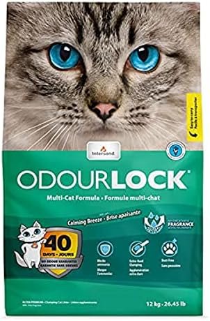 Intersand Odourlock Calming Breeze Multi-Cat Clumping Cat Litter – 40+ Day Odour Control | 6kg & 12kg