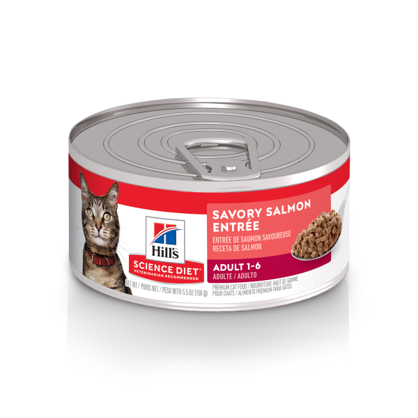 Hill's Science Diet Adult Savory Salmon Entrée Wet Cat Food – 5.5oz Can