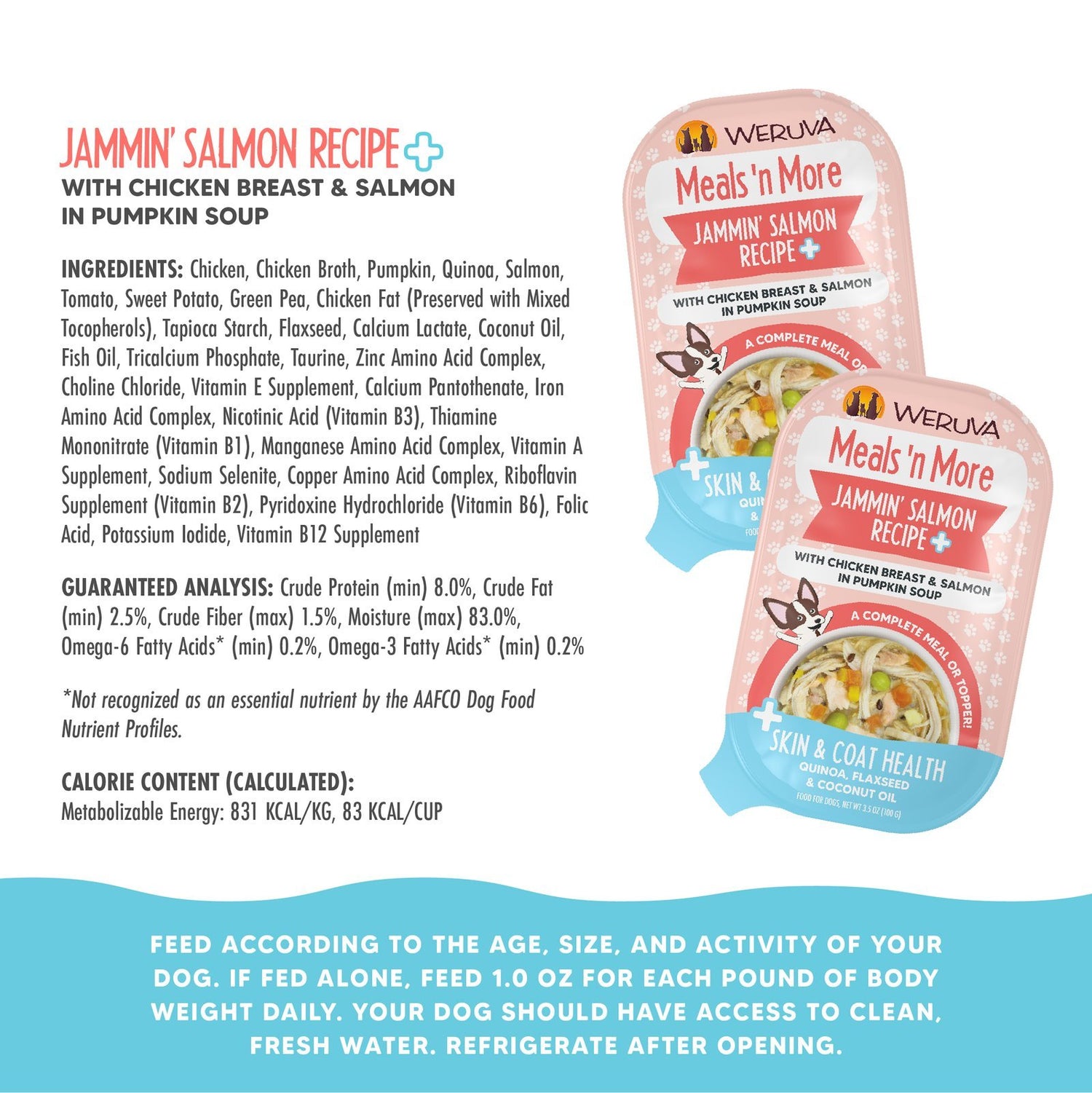 Weruva Jammin' Salmon Wet Dog Food | 3.5oz Chicken & Wild-Caught Salmon with Skin & Coat Support