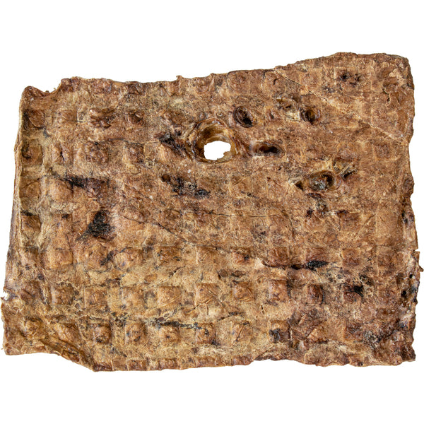 ASADO Beef Lung Steak Natural Dog Treat | High-Protein Low-Fat Single-Ingredient