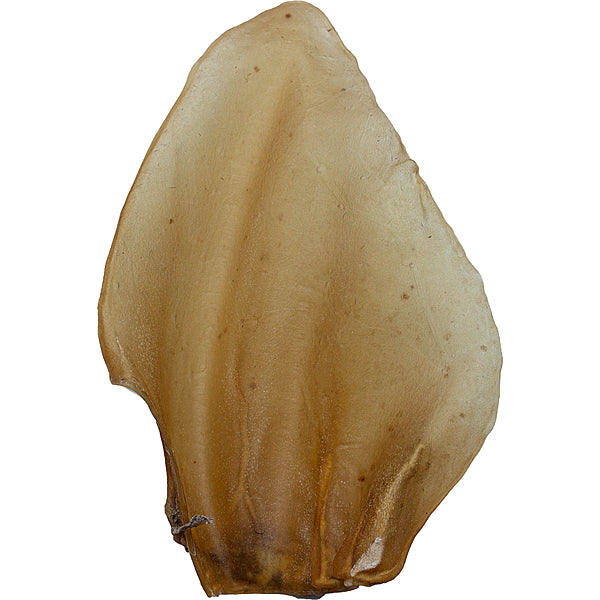 ASADO Cow Ears Natural Dog Chew – 10-Pack Low-Fat High-Protein Dental Chew