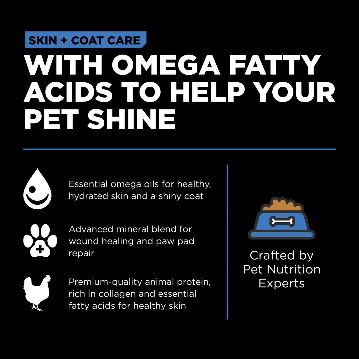 Go! Solutions Skin + Coat Care Chicken with Grains Dry Dog Food – Omega-Rich, Healthy Skin & Coat | Made in Ontario