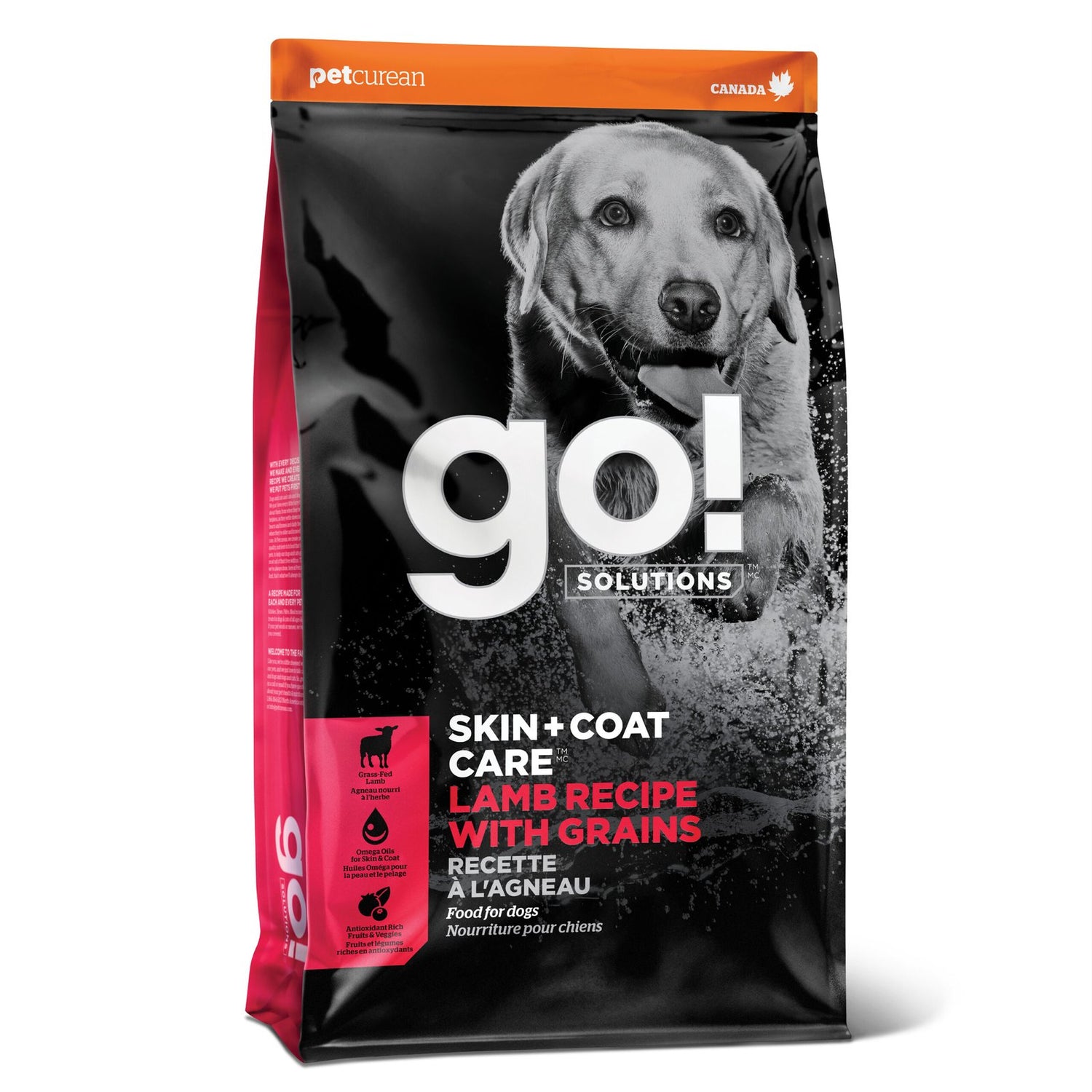 Go! Solutions Skin + Coat Care Lamb with Grains Dry Dog Food – Omega-Rich, Healthy Skin & Coat | Made in Ontario