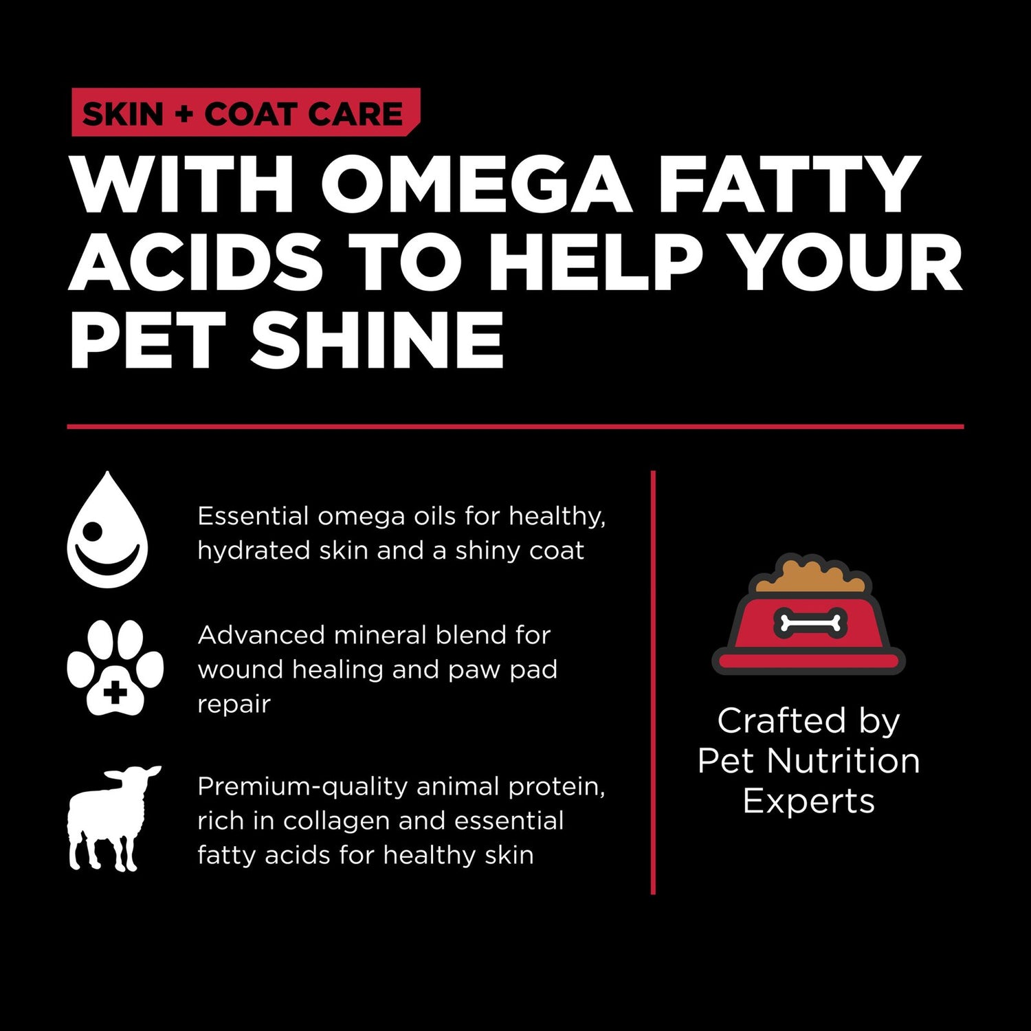 Go! Solutions Skin + Coat Care Lamb with Grains Dry Dog Food – Omega-Rich, Healthy Skin & Coat | Made in Ontario