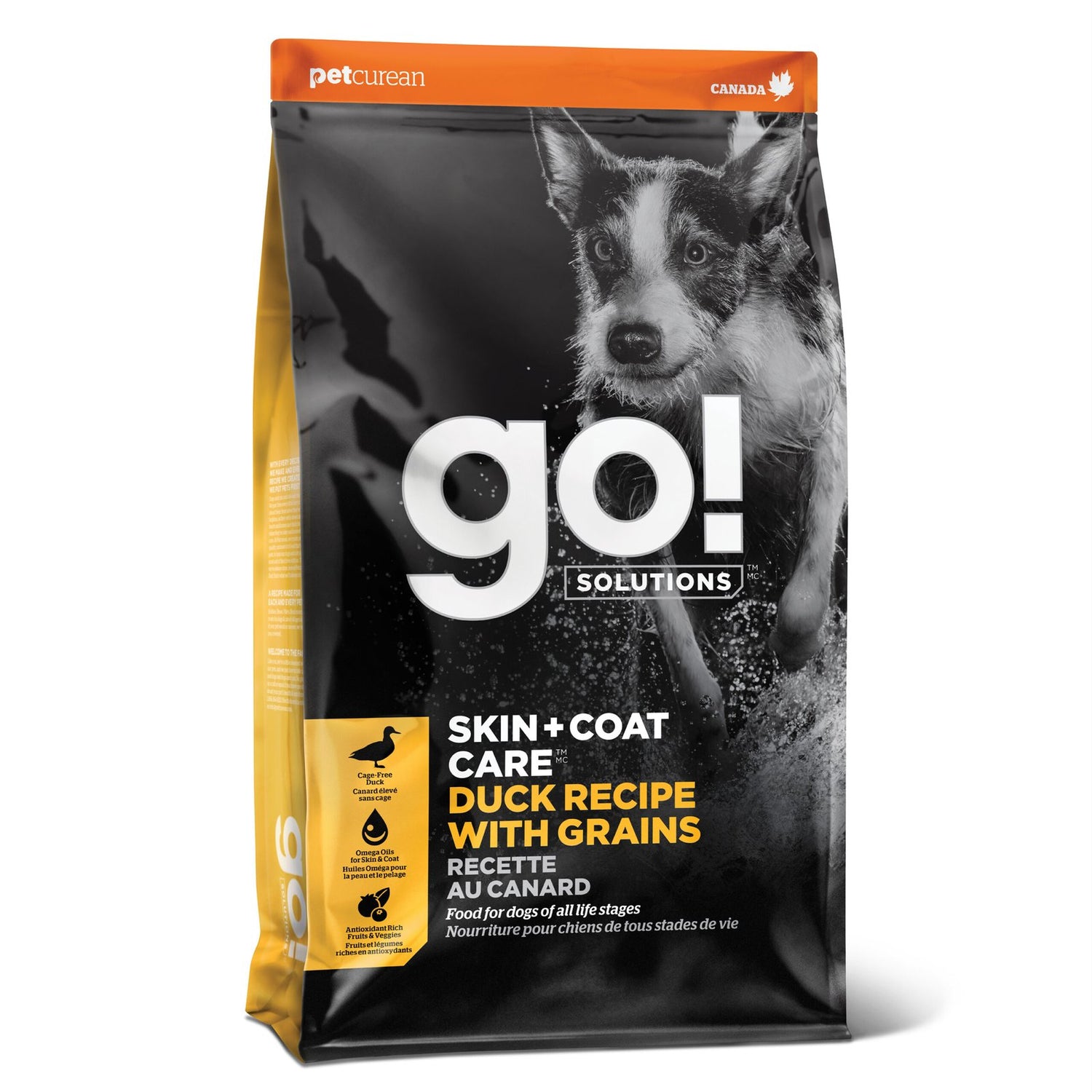 Go! Solutions Skin + Coat Care Duck with Grains Dry Dog Food – Omega-Rich, Healthy Skin & Coat | Made in Ontario