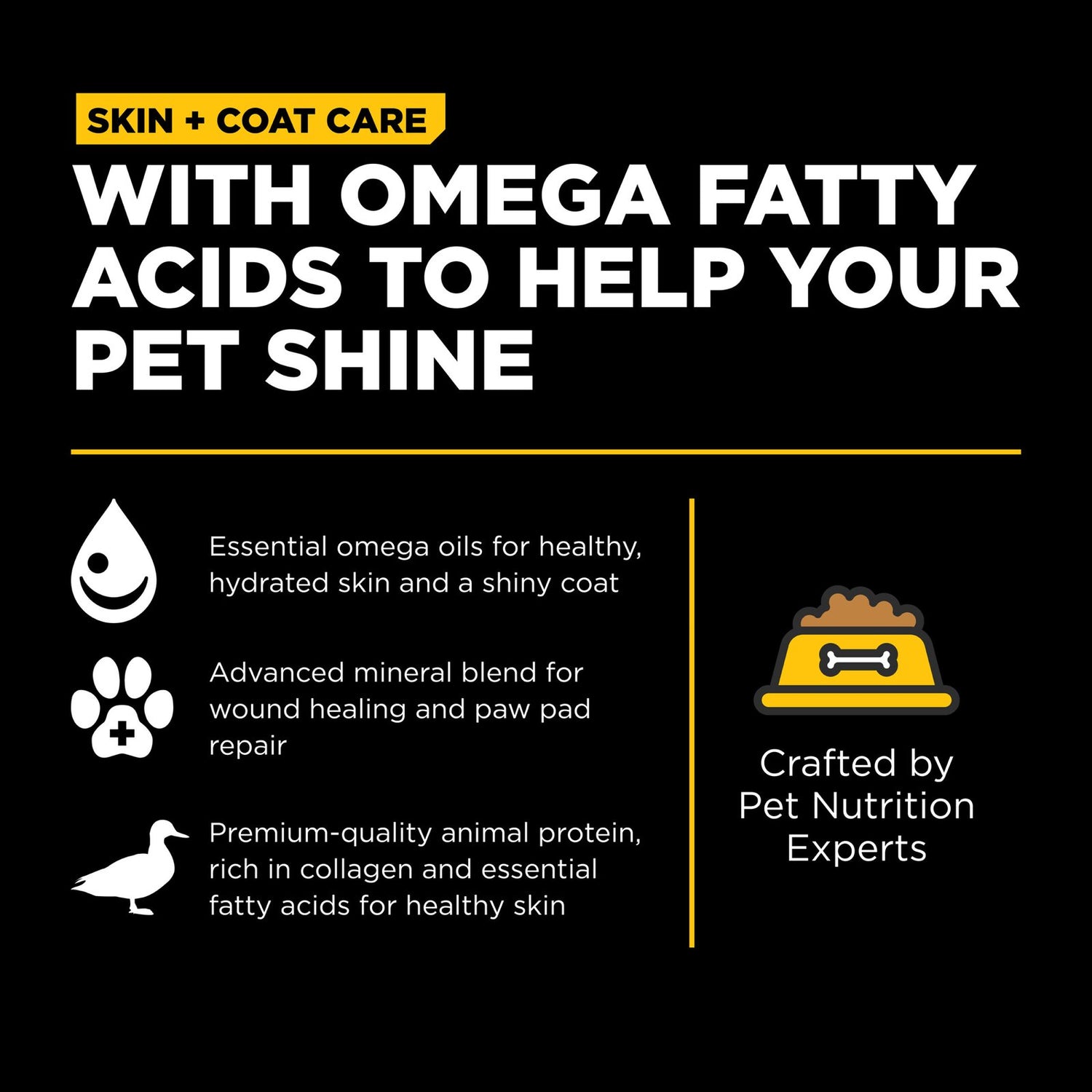 Go! Solutions Skin + Coat Care Duck with Grains Dry Dog Food – Omega-Rich, Healthy Skin & Coat | Made in Ontario