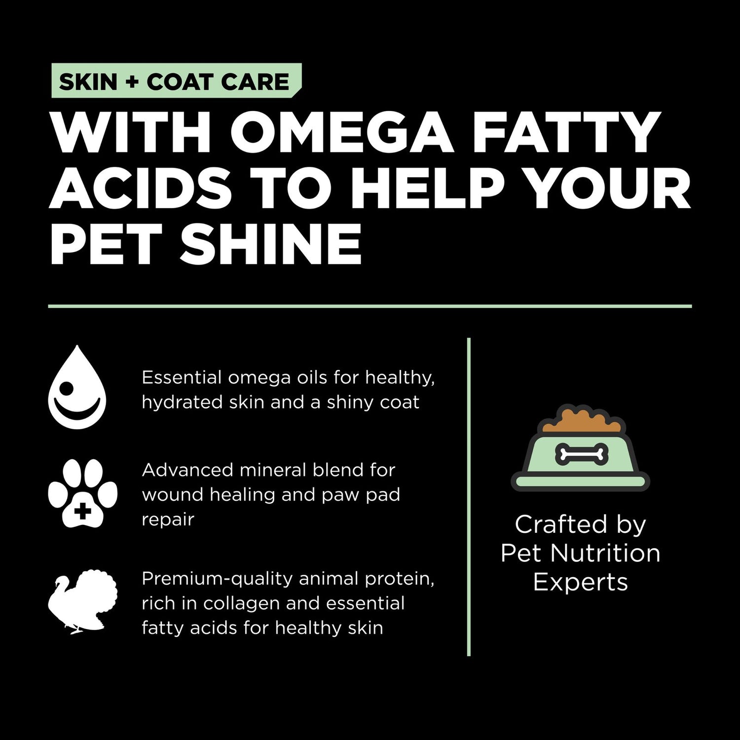 Go! Solutions Skin + Coat Care Turkey with Grains Dry Dog Food – Omega-Rich, Healthy Skin & Coat | Made in Ontario