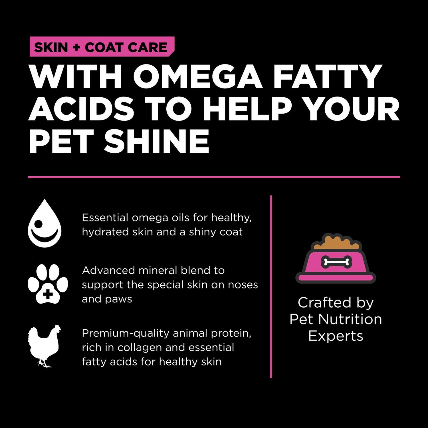 Go! Solutions Skin + Coat Care Chicken with Grains Dry Cat Food – Omega-Rich, Healthy Skin & Coat | Made in Ontario