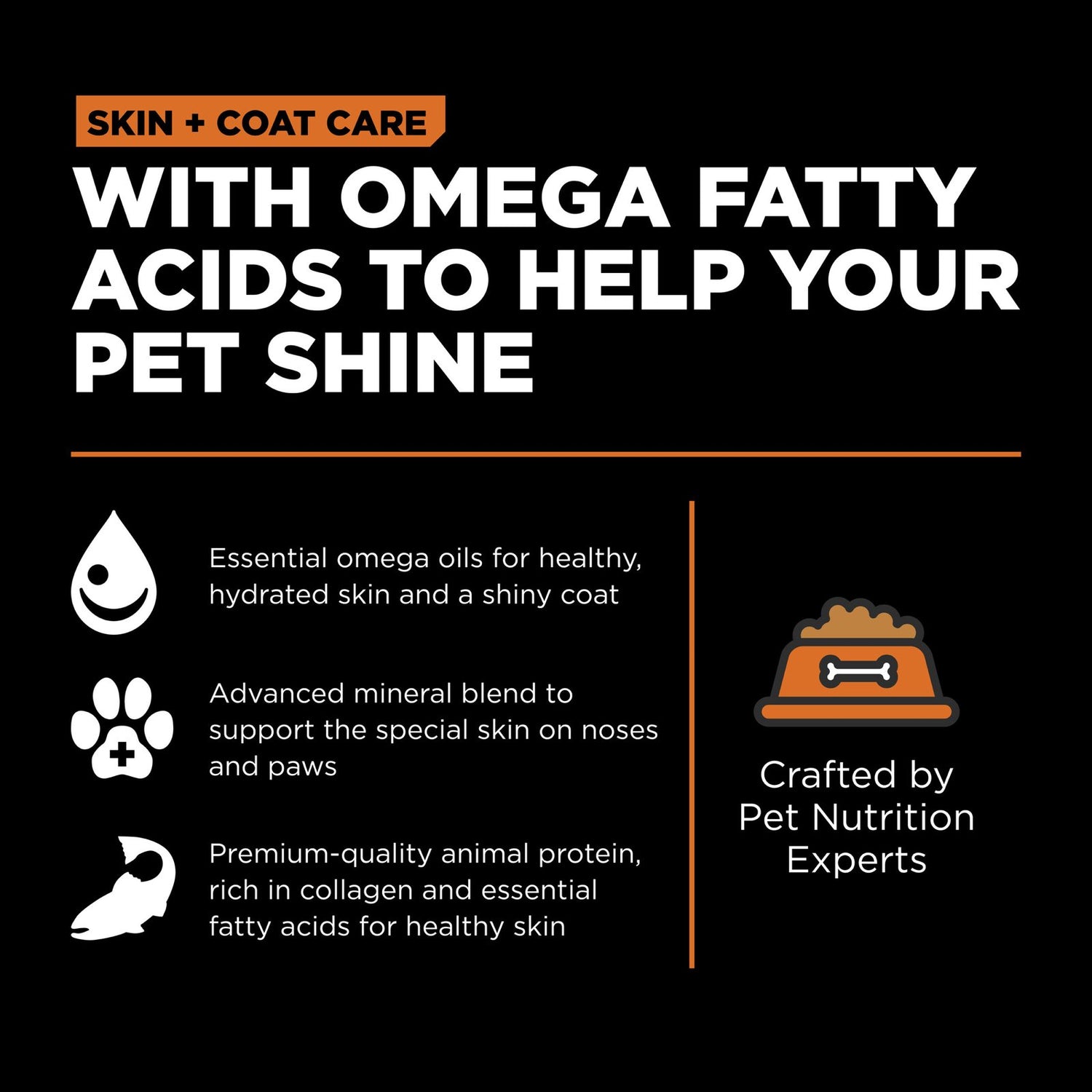 Go! Solutions Skin + Coat Care Salmon Dry Cat Food – Omega-Rich, Healthy Skin & Coat | Made in Ontario