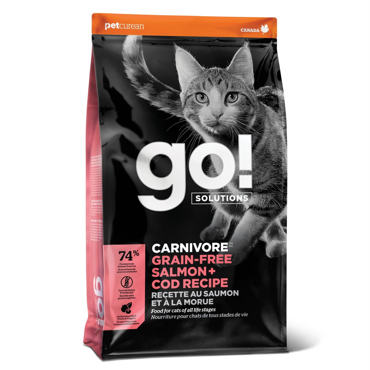 Go! Solutions Carnivore Salmon + Cod Grain-Free Dry Cat Food – Premium Fish Protein, Omega-Rich | Made in Ontario