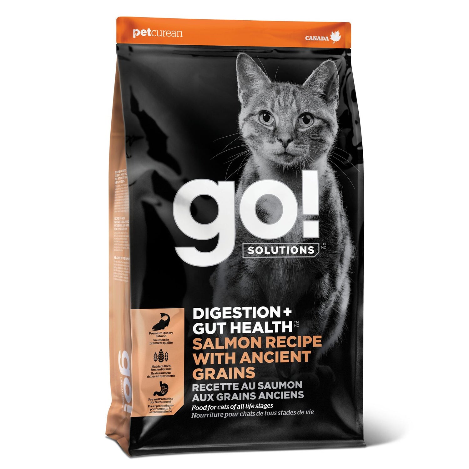 Go! Solutions Digestion + Gut Health Salmon with Ancient Grains Dry Cat Food – Probiotics, Prebiotics | Made in Canada