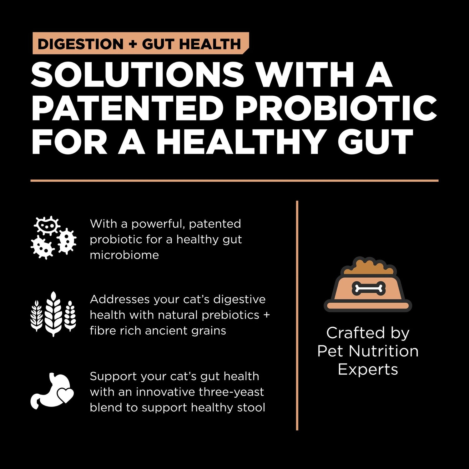 Go! Solutions Digestion + Gut Health Salmon with Ancient Grains Dry Cat Food – Probiotics, Prebiotics | Made in Canada