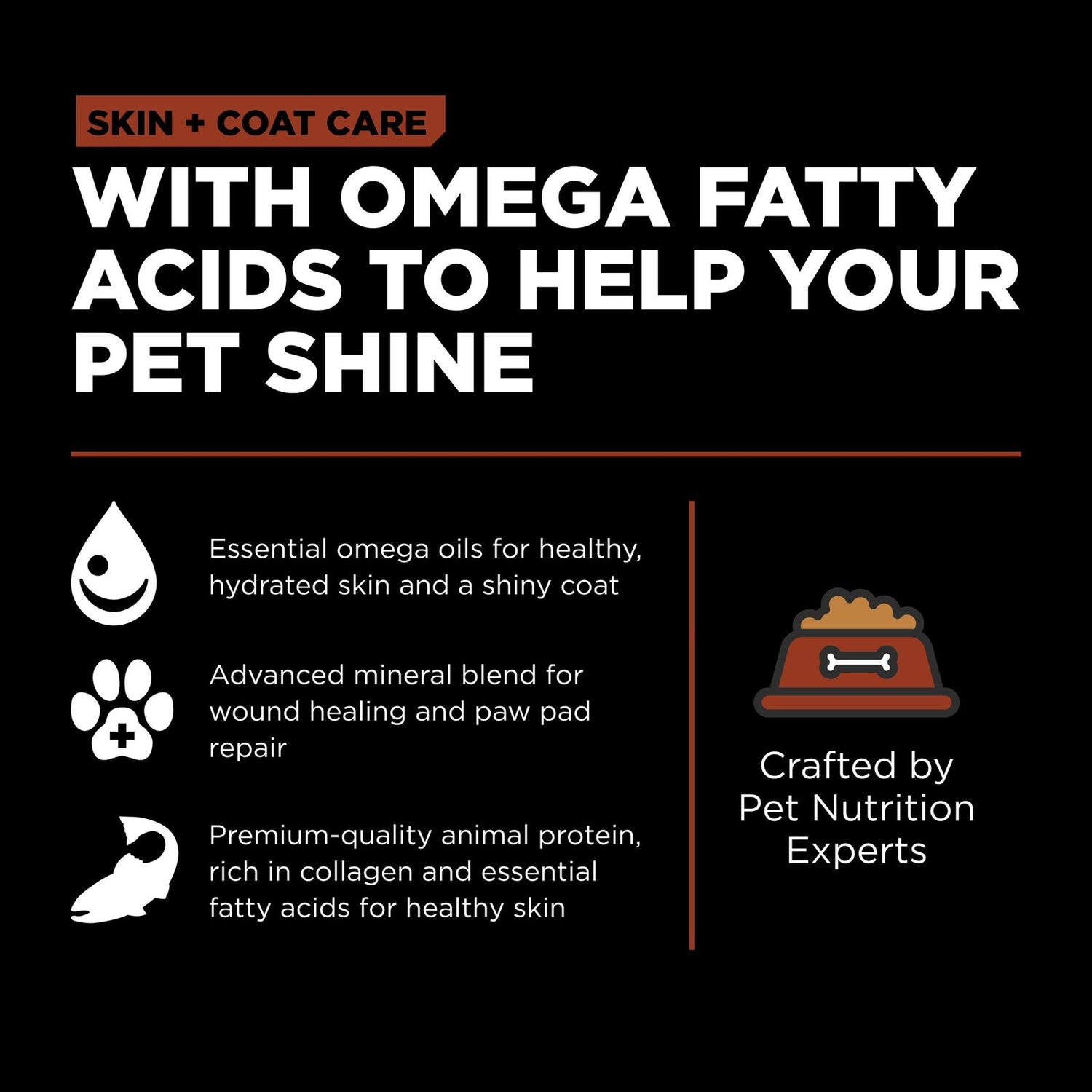 Go! Solutions Skin + Coat Care Salmon with Grains Dry Dog Food – Omega-Rich, Healthy Skin & Coat | Made in Ontario