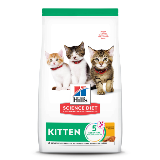 Hill's Science Diet Kitten Healthy Development Chicken Dry Cat Food – DHA & Brain Support | 3.5lb