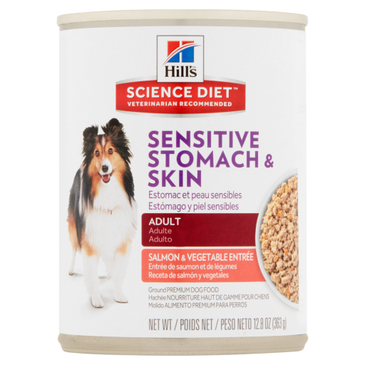 Hill's Science Diet Sensitive Stomach & Skin Salmon & Vegetable Wet Dog Food | 12.8oz Can