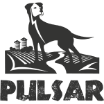 Pulsar
